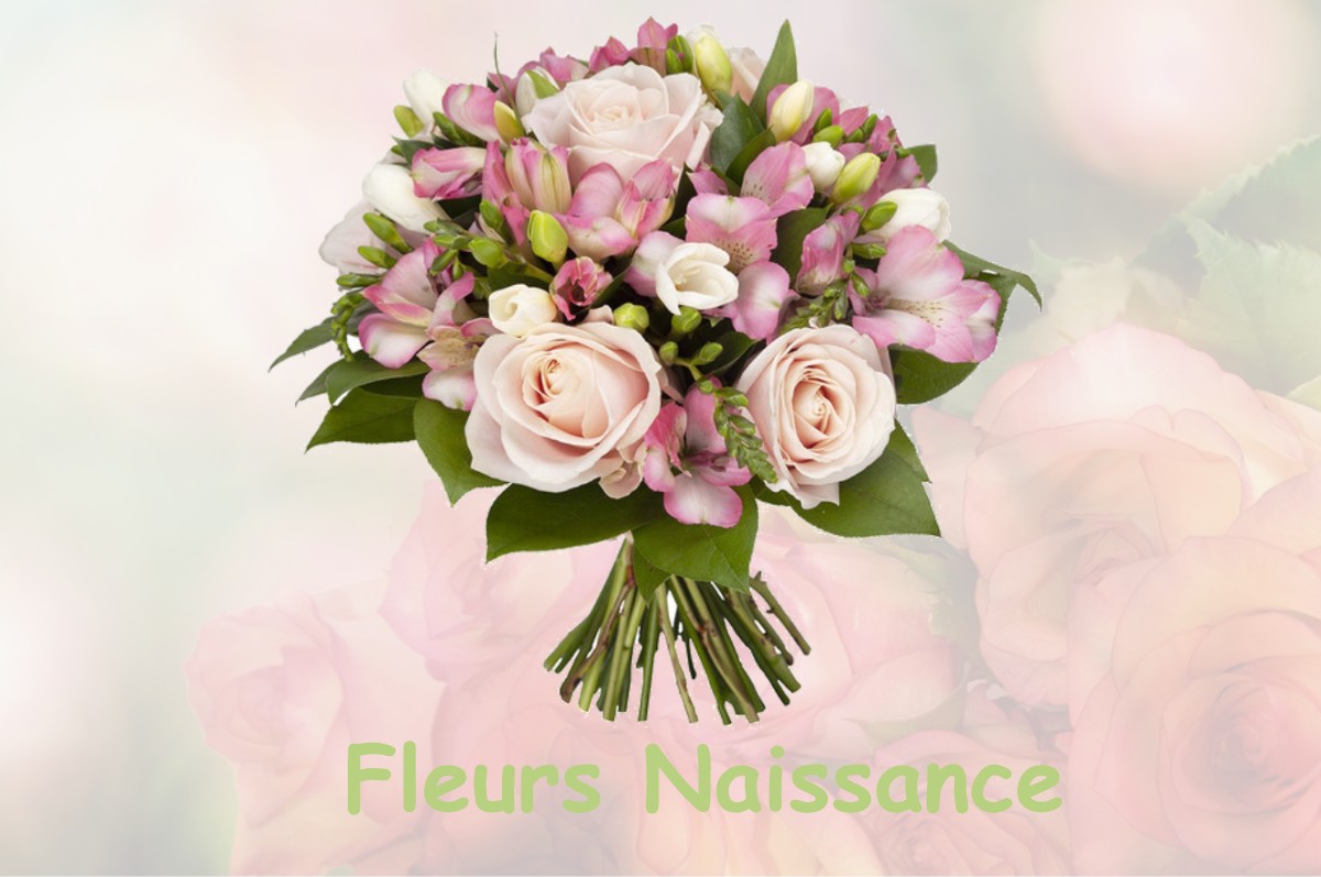 fleurs naissance SAINT-LIEUX-LAFENASSE
